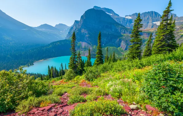 Forest, the sky, grass, the sun, trees, mountains, lake, rocks
