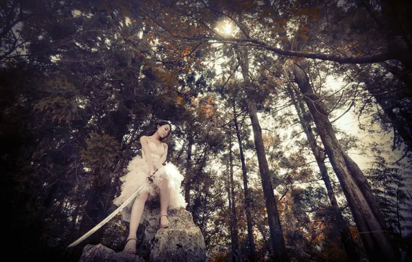 Picture forest, girl, trees, sword