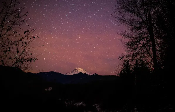 Picture forest, stars, mountains, panorama, Rainier National Park