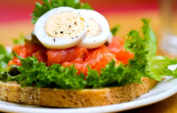 Picture bread, egg, vegetables, sandwich