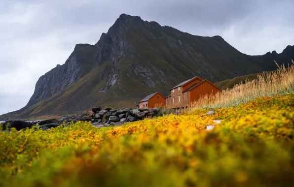 Wallpaper Grass Stones Mountain House For Mobile And Desktop