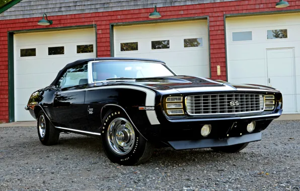 Wallpaper Chevrolet, 1969, Camaro, Chevrolet, Camaro