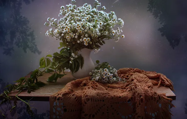 Picture summer, flowers, night, August, still life, shawl, Starfall