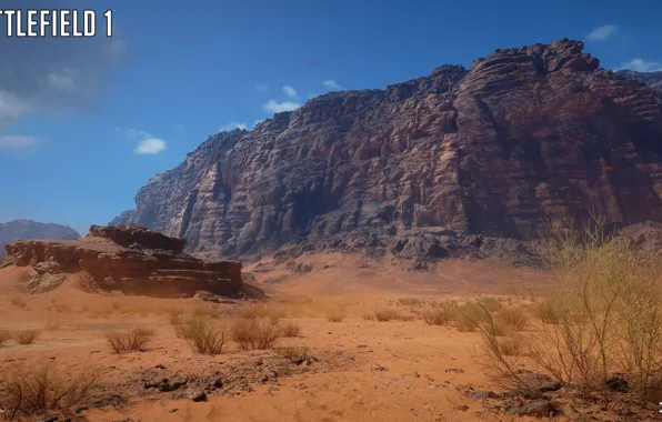 Rocks, desert, Bush, Battlefield 1, Sinai Desert