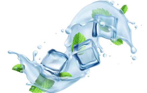 Picture ice, white, water, squirt, background, cubes, splash, mint