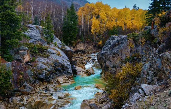 Autumn, trees, river, stones, rocks, Colorado, Colorado, Rocky mountains