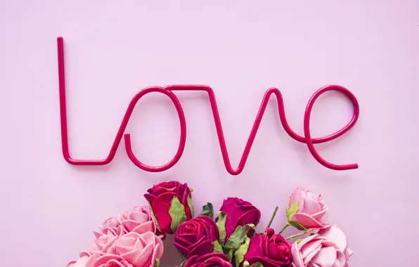 Love, flowers, roses, love, pink background, pink, flowers, beautiful