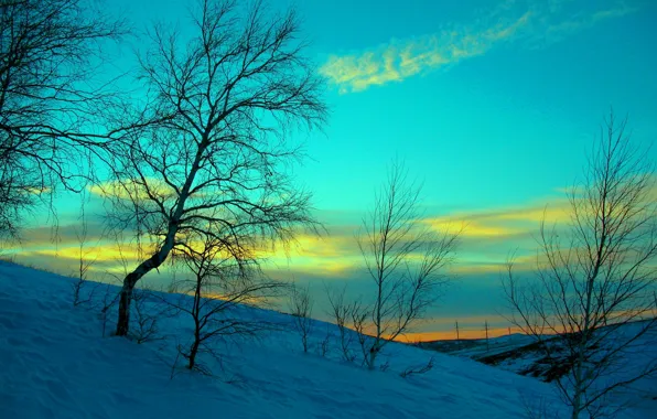 Picture winter, the sky, clouds, snow, trees, hills, the evening, glow