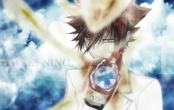 Guy, glove, Boss, Katekyo Hitman reborn, Teacher mafia Reborn, Sawada Tsuyoshi