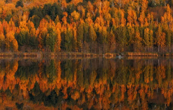 Picture autumn, forest, trees, nature, reflection, people, boat