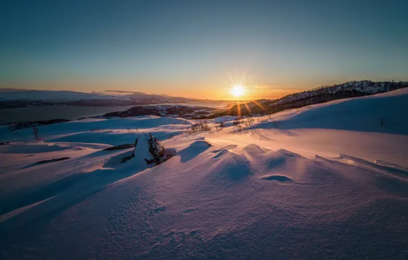 Winter, the sun, snow, sunset