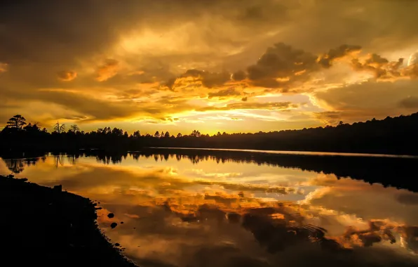 Wallpaper lake, the evening, shore, reflection, sunset