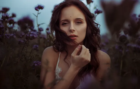Picture field, girl, flowers, portrait, makeup, hairstyle, brown hair, bokeh