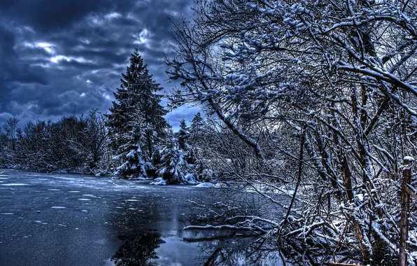 Winter, water, snow, nature, photo, spruce