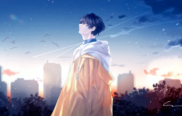 Picture the sky, the city, guy, look to the sky, by 世