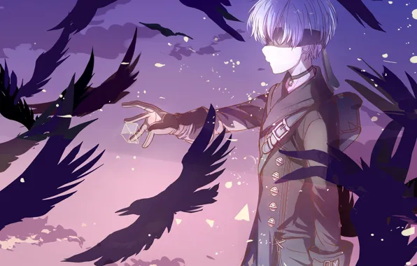 Birds, boy, crows, Nier Automata, YoRHa No 9 Type S
