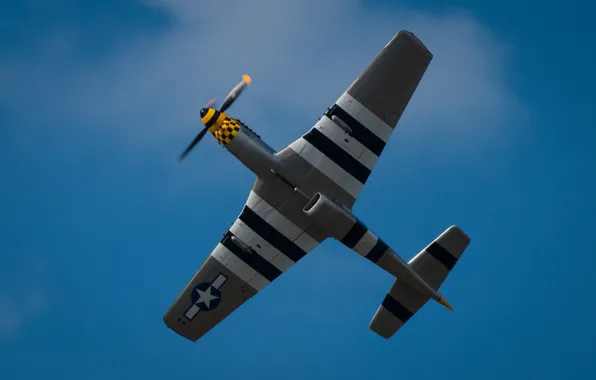 Mustang, wings, fighter, P-51D, single