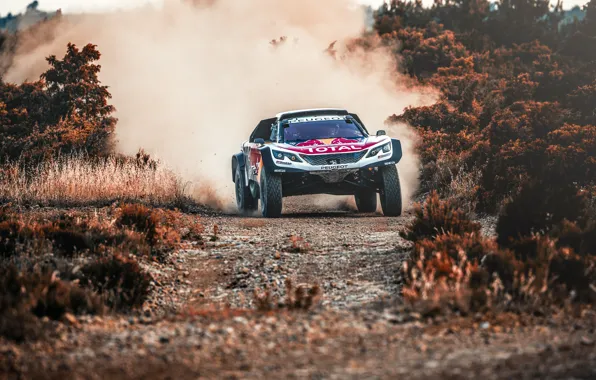 Auto, Dust, Sport, Machine, Speed, Race, Peugeot, Lights