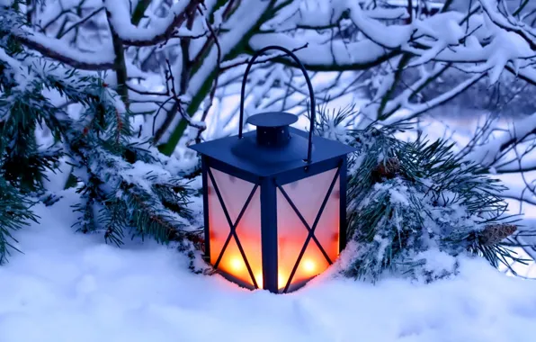 Winter, snow, nature, candles, lantern, light, nature, winter