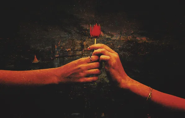 Flower, love, red, background, rose, Love, hands, art