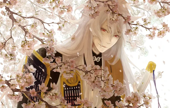 Flowers, branches, spring, anime, art, guy, Touken ranbu, Dance Of Swords