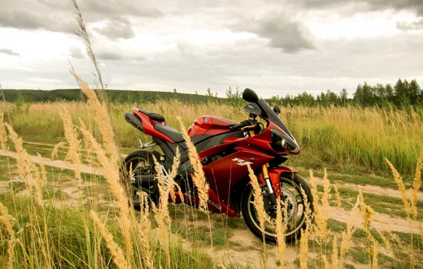 Picture Yamaha, YZF-R1, Field, Dark red
