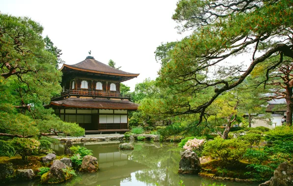 Picture greens, water, pond, Park, Japan, pagoda, pine