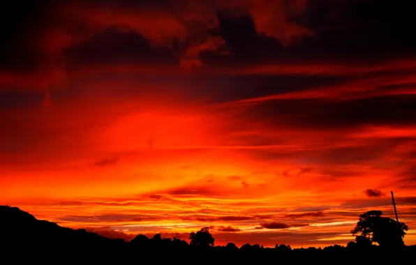 The sky, clouds, trees, silhouette, glow