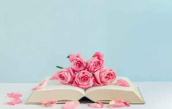 Flowers, roses, petals, book, pink, buds, pink, flowers