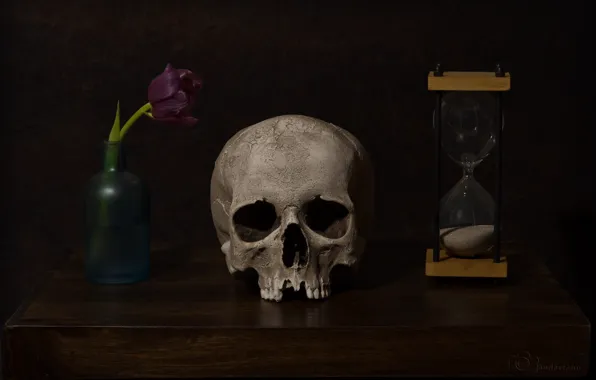 Flower, watch, skull