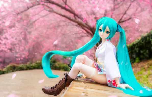 Hair, doll, shoes, Sakura