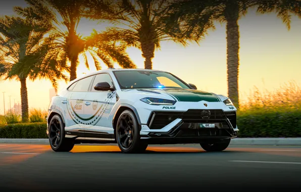 Lamborghini, Urus, Lamborghini Urus Performante Dubai Police