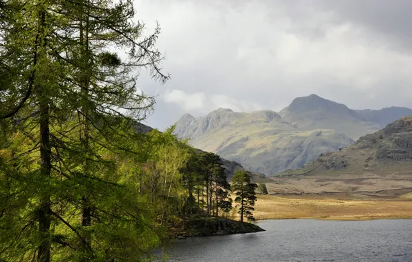 The sky, trees, mountains, clouds, lake