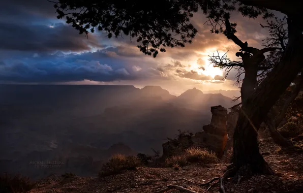 Clouds, tree, the rays of the sun, Arizona, The Grand canyon