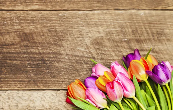 Flowers, bouquet, colorful, tulips, love, wood, romantic, tulips