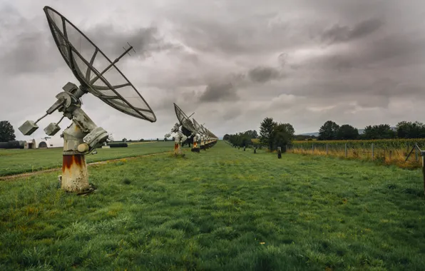 Field, background, antenna