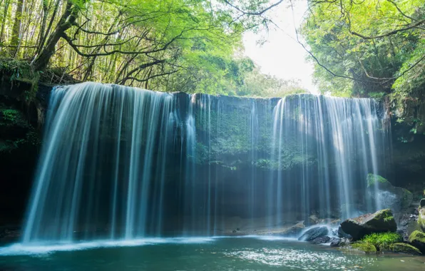 Picture forest, water, trees, stones, waterfall