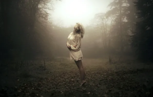 Picture forest, girl, fog