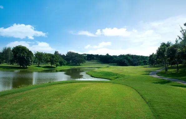 Greens, summer, the sky, grass, the sun, clouds, trees, pond