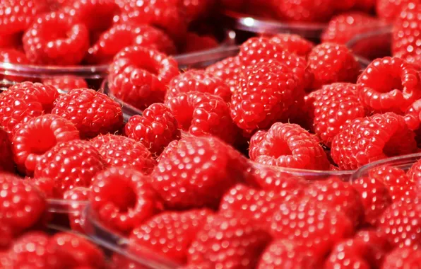 Picture macro, red, berries, raspberry, food, blur, container, a lot
