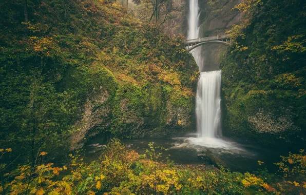 Picture autumn, bridge, rock, waterfall, Oregon, Oregon, Columbia River Gorge, the Multnomah falls