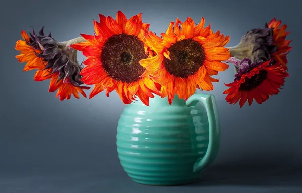 Sunflowers, flowers, background, vase