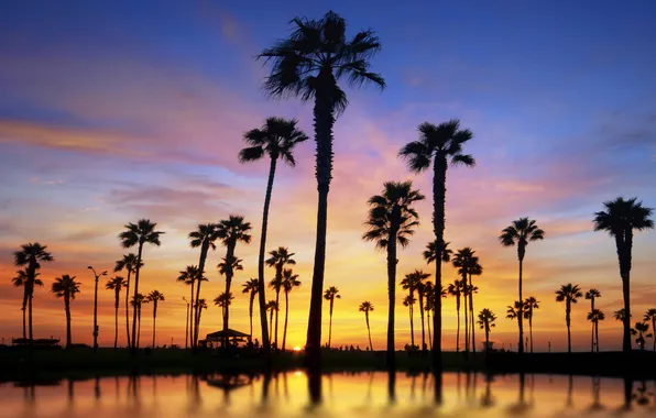 Picture water, the sun, landscape, sunset, palm trees, people, stay