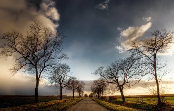 Road, the sky, trees