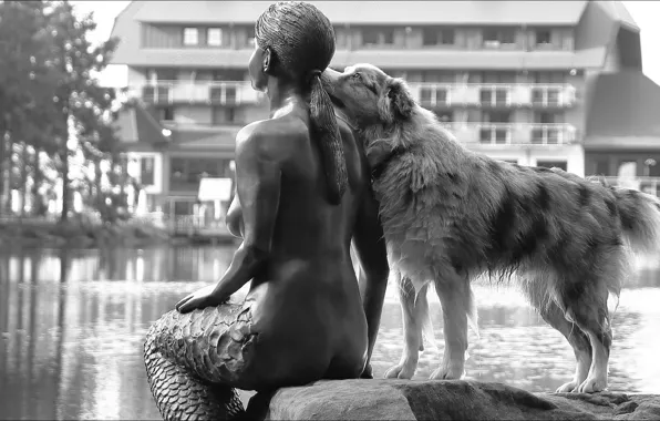 Dog, mermaid, sculpture, other, Oops