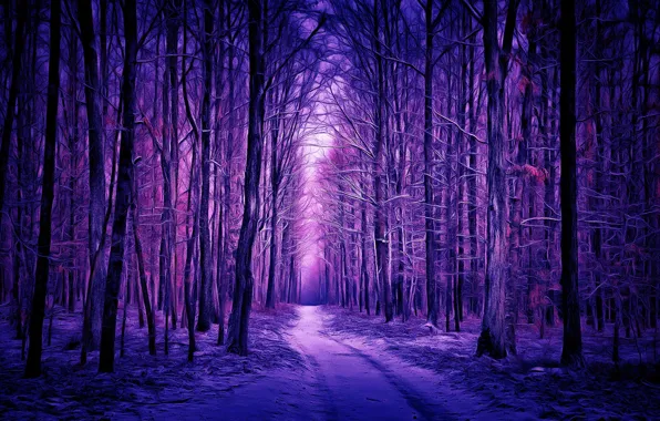 Picture winter, forest, digital painting, winter forest