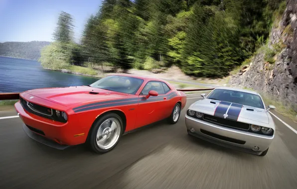 Picture road, forest, trees, river, race, Dodge, dodge challenger