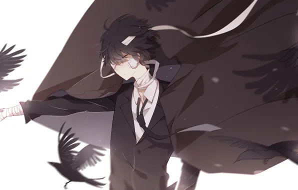 Crows, Bungou Stray Dogs, Dasi, Stray Dogs: A Literary Genius, Dazai Osamu