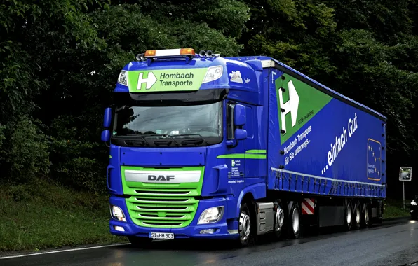 Picture road, trees, blue, vegetation, roadside, dampness, DAF, tractor