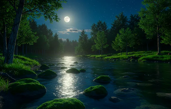 Trees, night, river, stones, Wallpaper, the moon, art, wallpaper